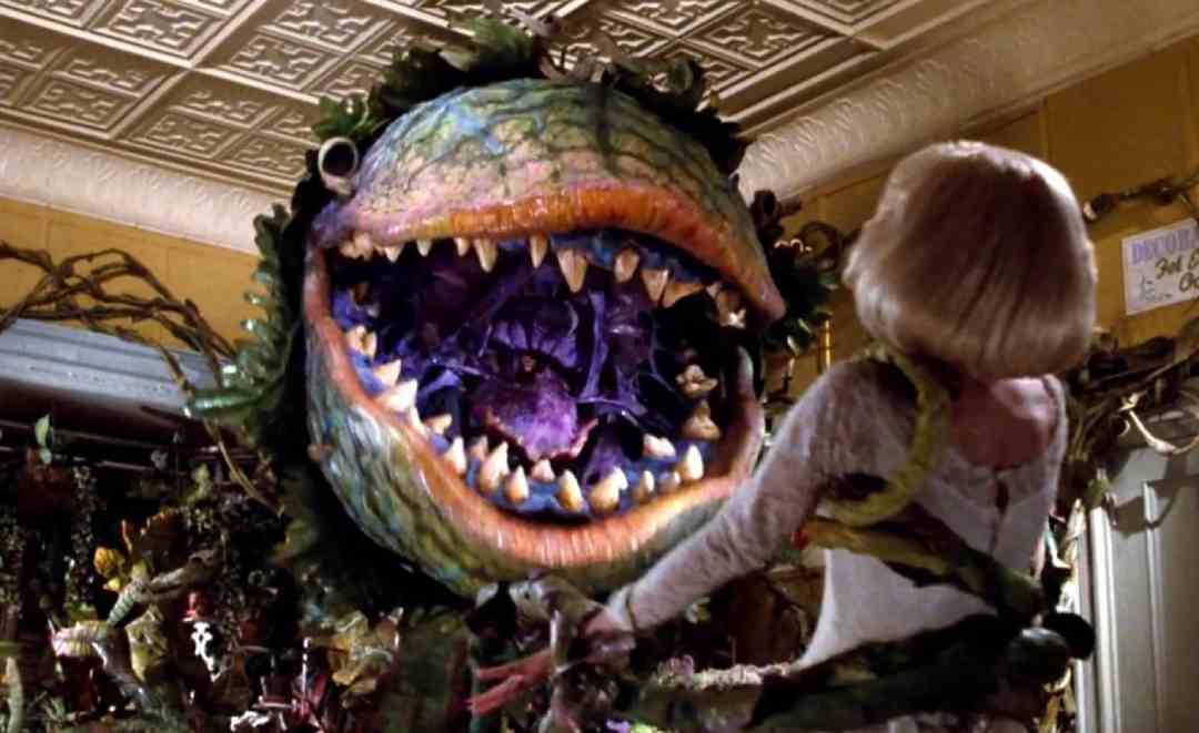 A large, menacing, plant-like creature with sharp teeth looms over a woman with blonde hair and a white dress inside a flower shop, surrounded by vines and foliage.