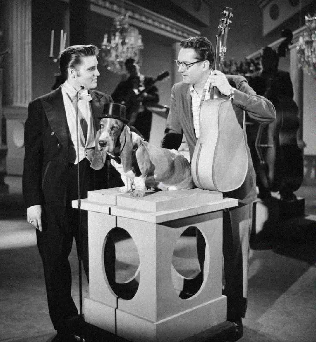 Two men stand on a stage with a basset hound wearing a small hat on a pedestal. One man holds a cello. Musicians and chandeliers are visible in the background. The scene appears vintage and theatrical.