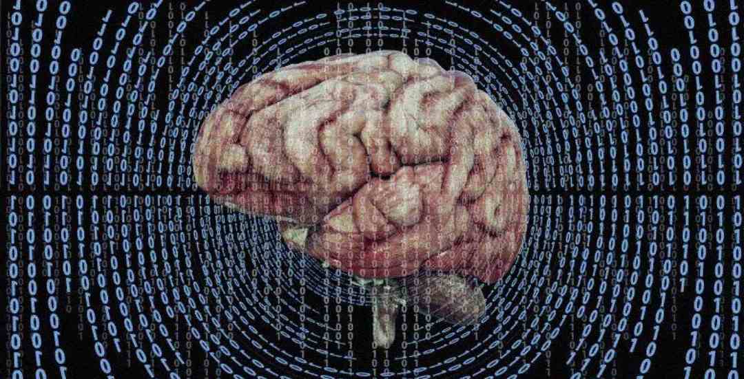 A human brain is centered against a digital background of binary code, with blue ones and zeros arranged in circular patterns around it, suggesting a connection between the brain and technology or data.