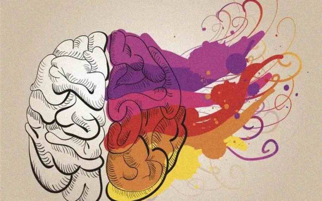 Illustration of a brain, with the left side sketched in black and white and the right side colored with vibrant splashes of purple, red, orange, and yellow, symbolizing creativity and logic.