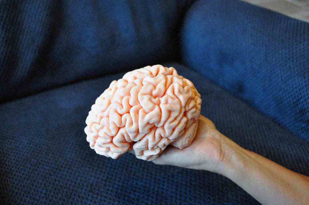 A hand holding a realistic model of a human brain over a blue textured fabric surface, likely a couch or chair.