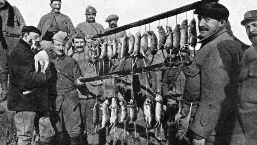 A group of soldiers in uniform stand outdoors, displaying two long wooden poles with dozens of dead rats hanging from them. One soldier holds a small dog. The scene appears historical, possibly from the early 20th century.