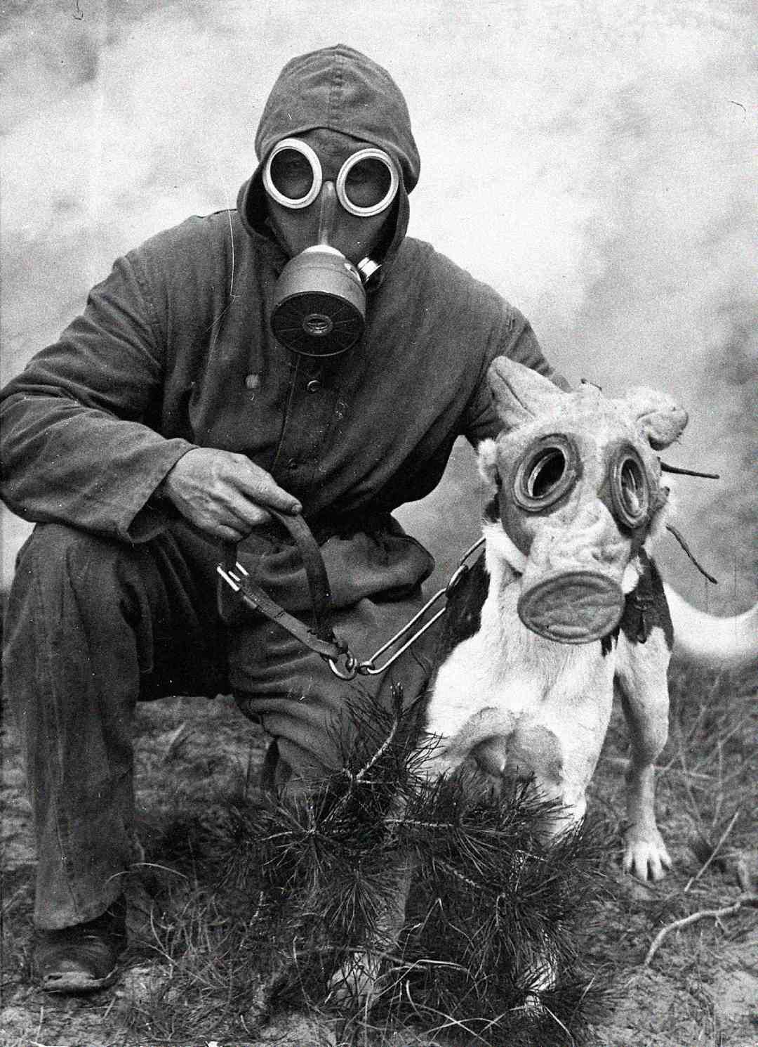 A person and a dog both wear gas masks; the person is dressed in a hooded coat and crouches while holding the leashed dog. The background is smoky, creating a tense, wartime atmosphere.