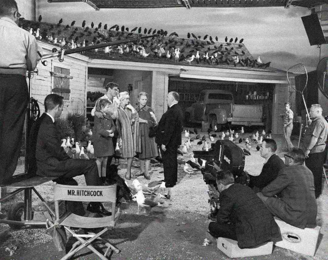 A black-and-white behind-the-scenes photo shows Alfred Hitchcock directing actors and crew on the set of "The Birds," with birds scattered on the ground, the roof, and filming equipment visible.