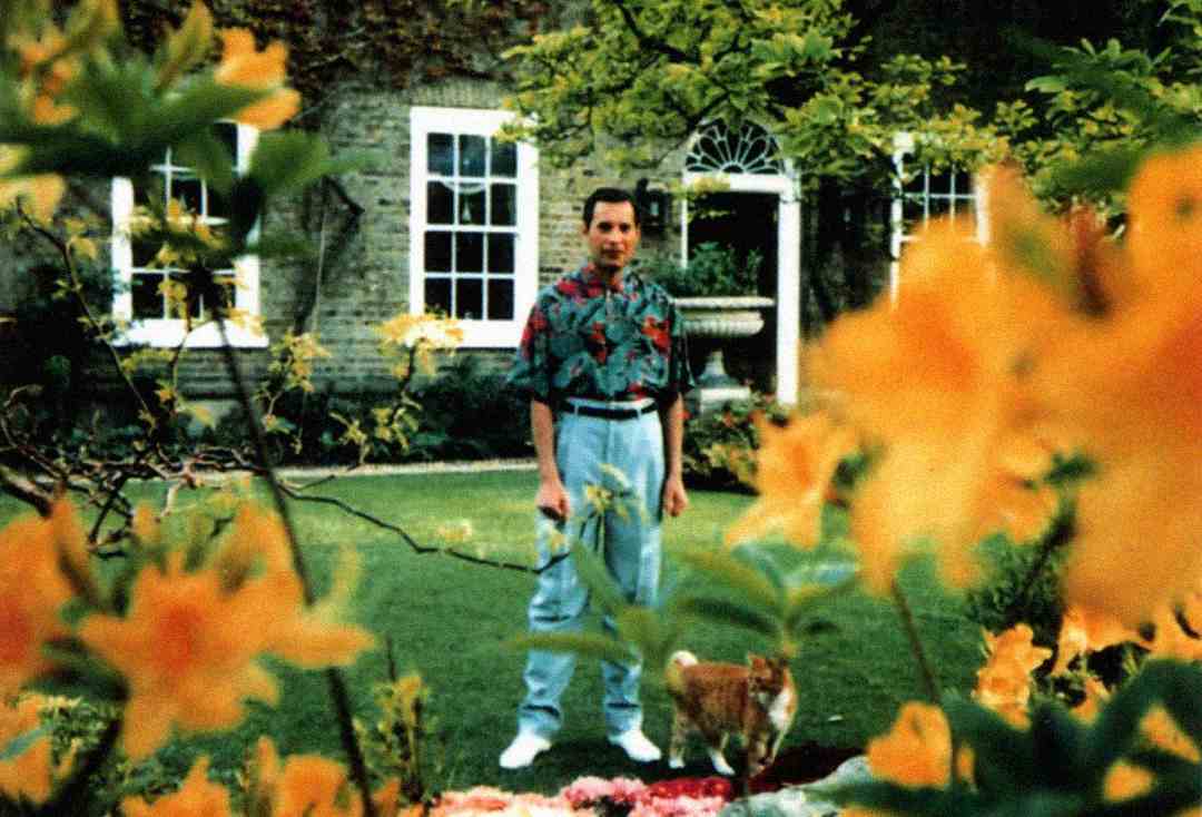 A person stands in a green garden with yellow flowers in the foreground, wearing a colorful shirt and light pants. A small cat stands beside them. In the background, there is a large house with arched windows and a white door.