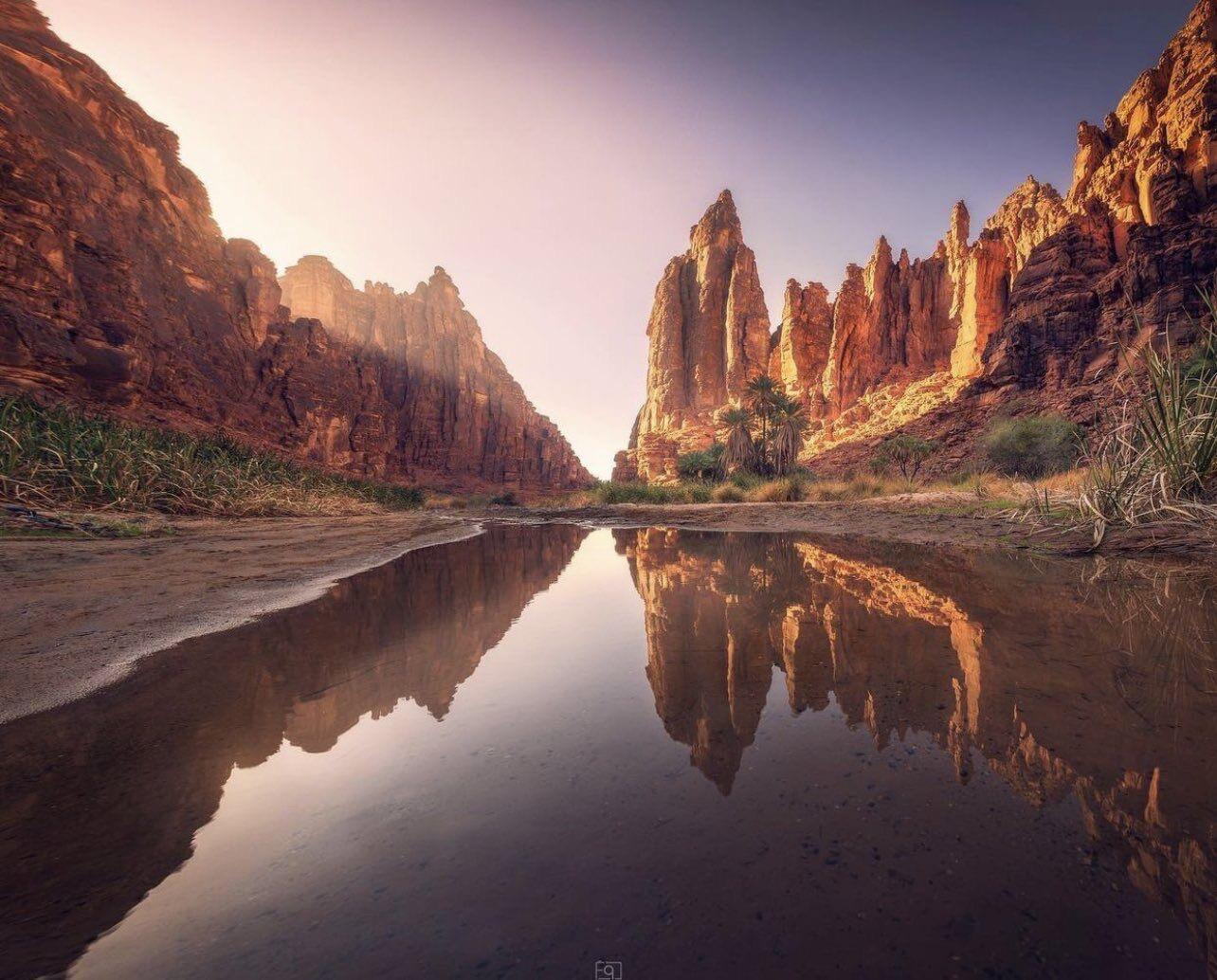 A serene desert canyon with towering red rock cliffs, reflected clearly in a calm, shallow river. Sparse green vegetation lines the water, and the scene is bathed in soft, golden light from a clear sky.
