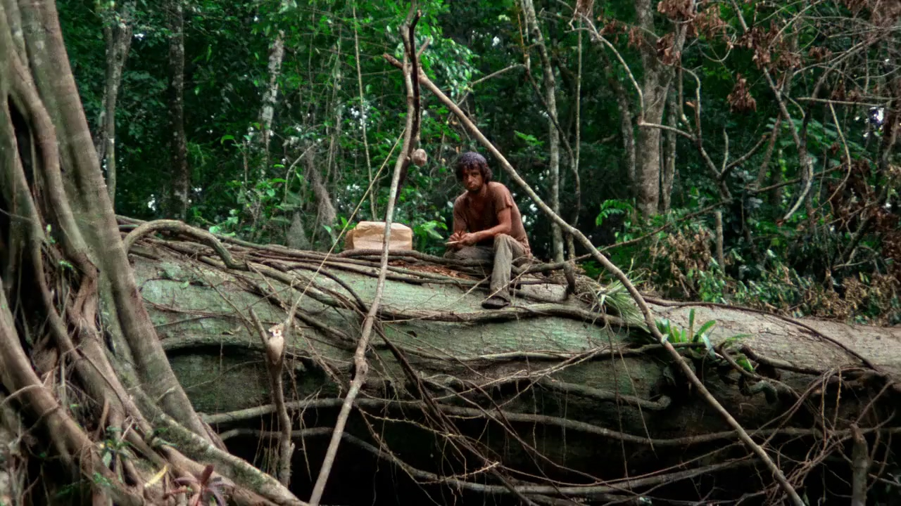 A person sits alone on a large fallen tree covered in vines and roots in the middle of a dense, green jungle.