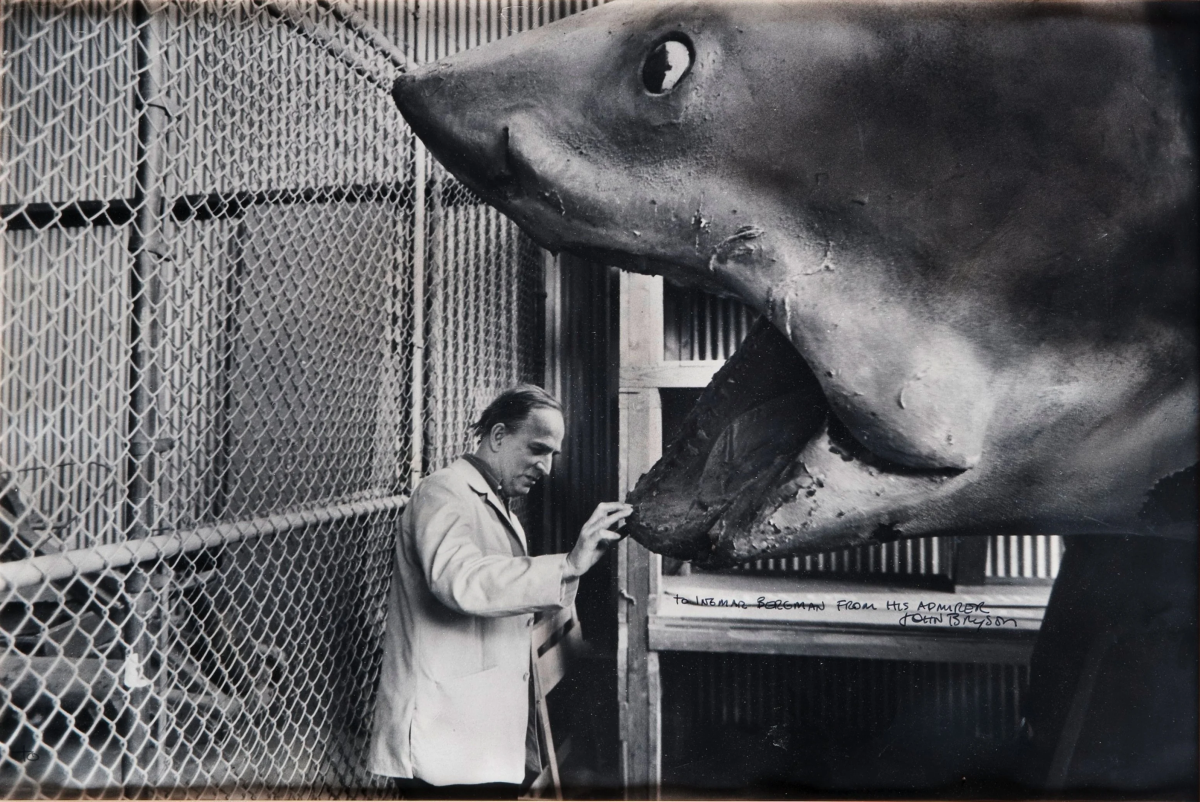 A man in a white coat stands next to the open mouth of a giant shark model, inside a fenced area. The shark’s mouth is wide, and the man appears to be inspecting or touching its jaw.
