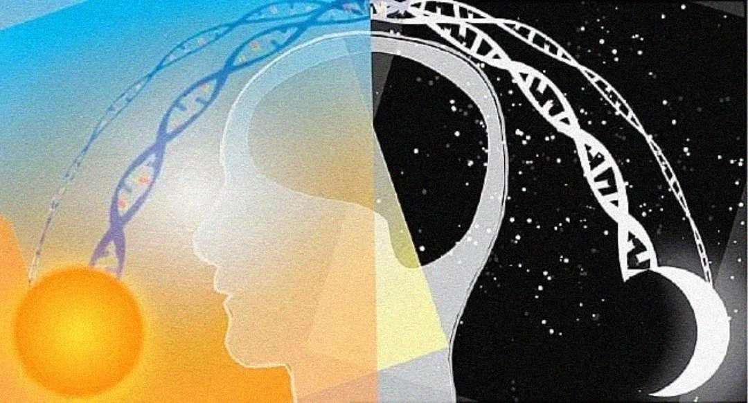 Abstract illustration showing a human head divided in half: one side is bright with a sun and blue sky, the other is dark with a moon and stars. A DNA strand arches over the head, connecting both sides.
