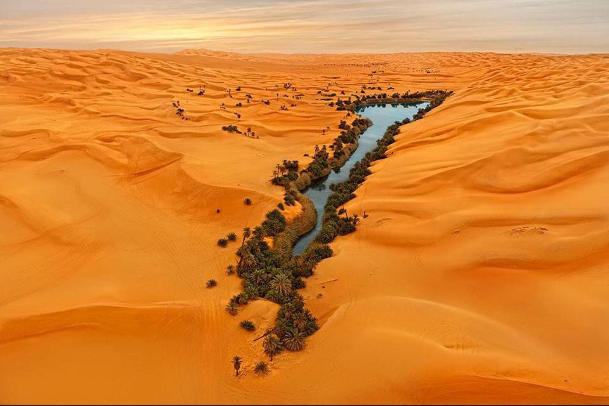 A lush green oasis with a winding blue waterway is surrounded by vast orange sand dunes under a partly cloudy sky in a desert landscape.