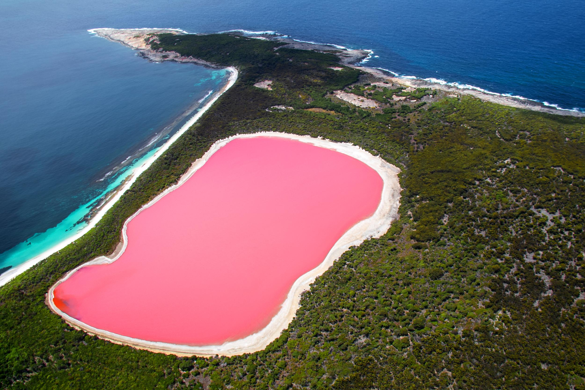 Aerial view of a vibrant pink lake surrounded by green vegetation, with the blue ocean and coastline visible nearby under a clear sky.
