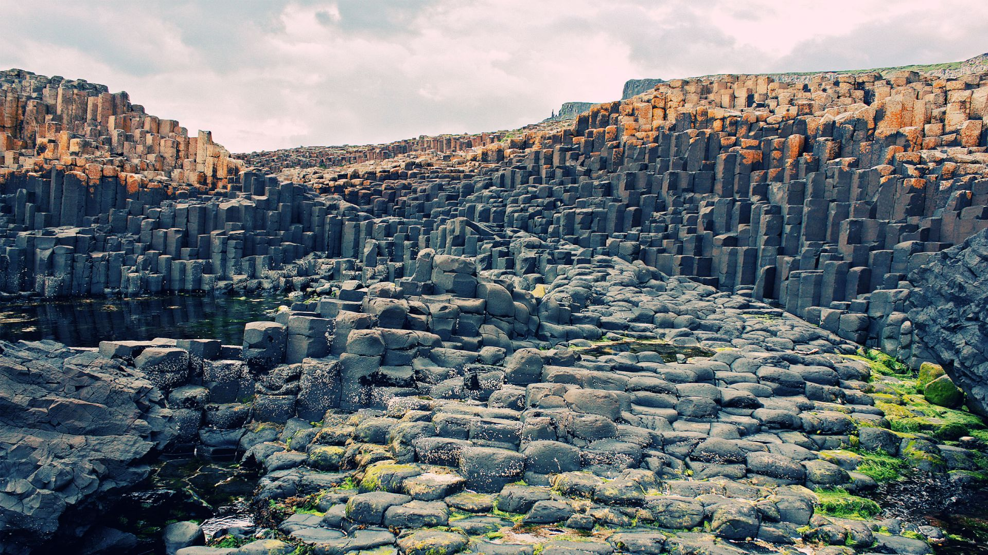 Hexagonal basalt columns form a dramatic natural landscape at the Giant’s Causeway, with moss and tidal pools visible among the rocks under a cloudy sky.