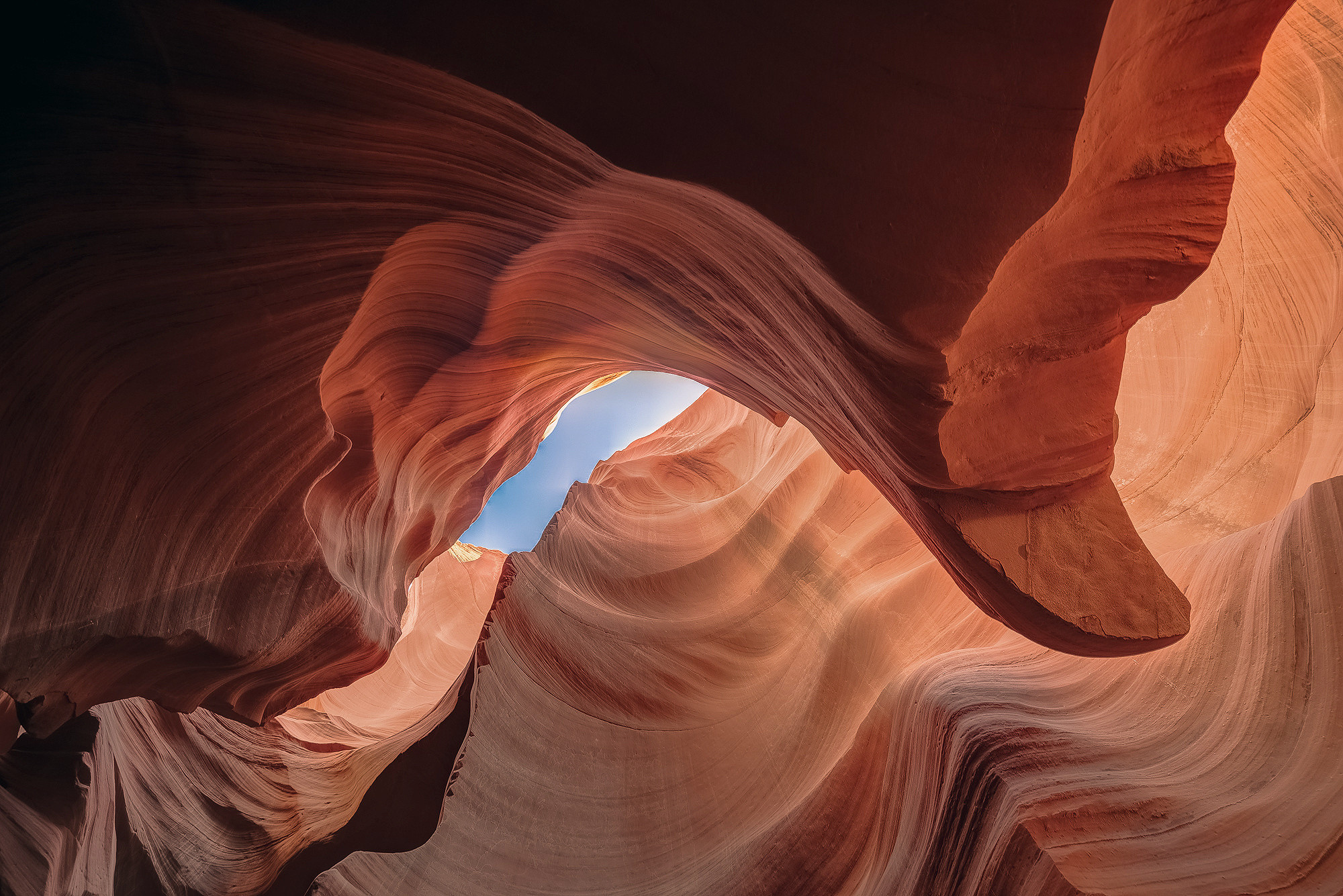 View looking up at smooth, swirling rock formations of Antelope Canyon with sunlight illuminating the red and orange walls and a patch of blue sky visible through an opening above.