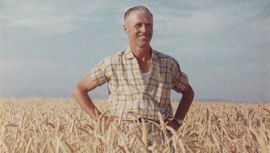 A man with gray hair, wearing a short-sleeve plaid shirt, stands smiling in a golden wheat field under a blue sky.