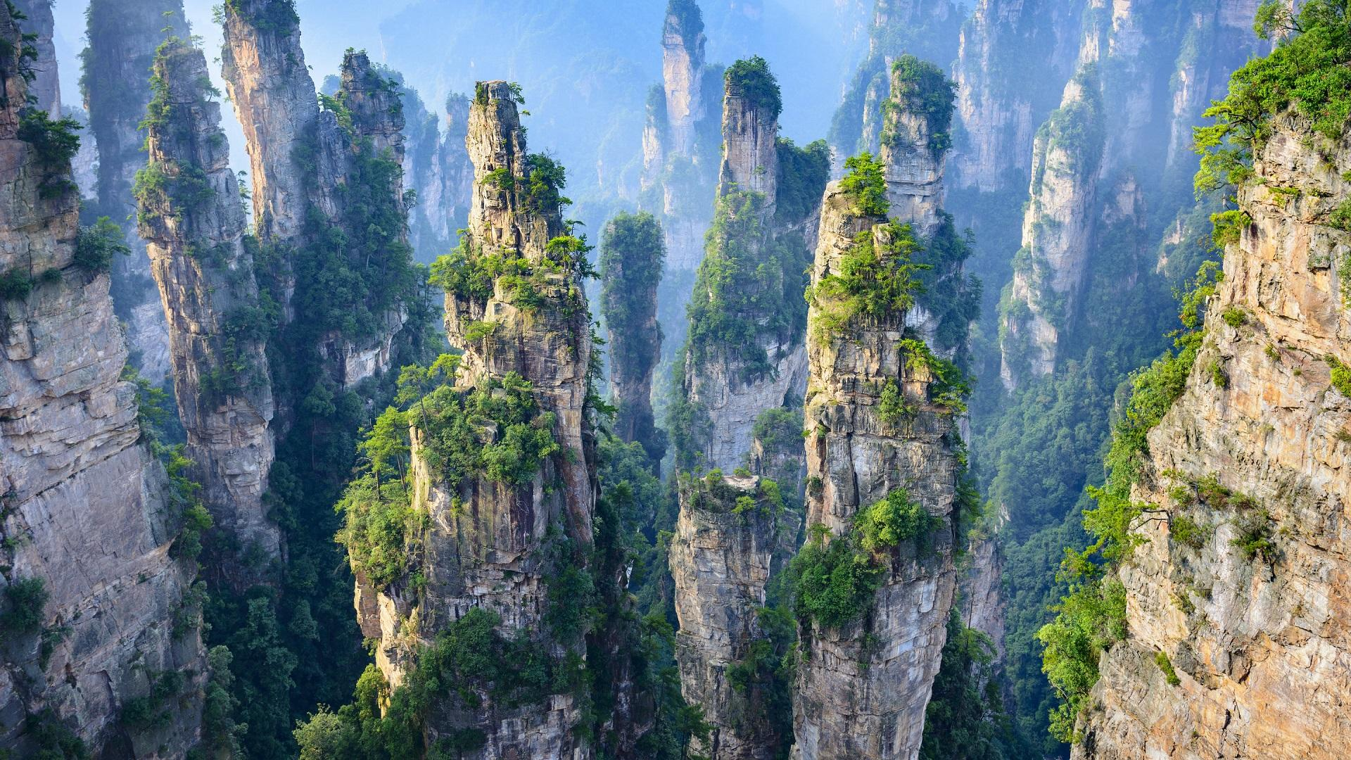 Tall, thin sandstone pillars covered with green vegetation rise sharply from a forested valley, surrounded by mist, creating a dramatic and lush mountain landscape.