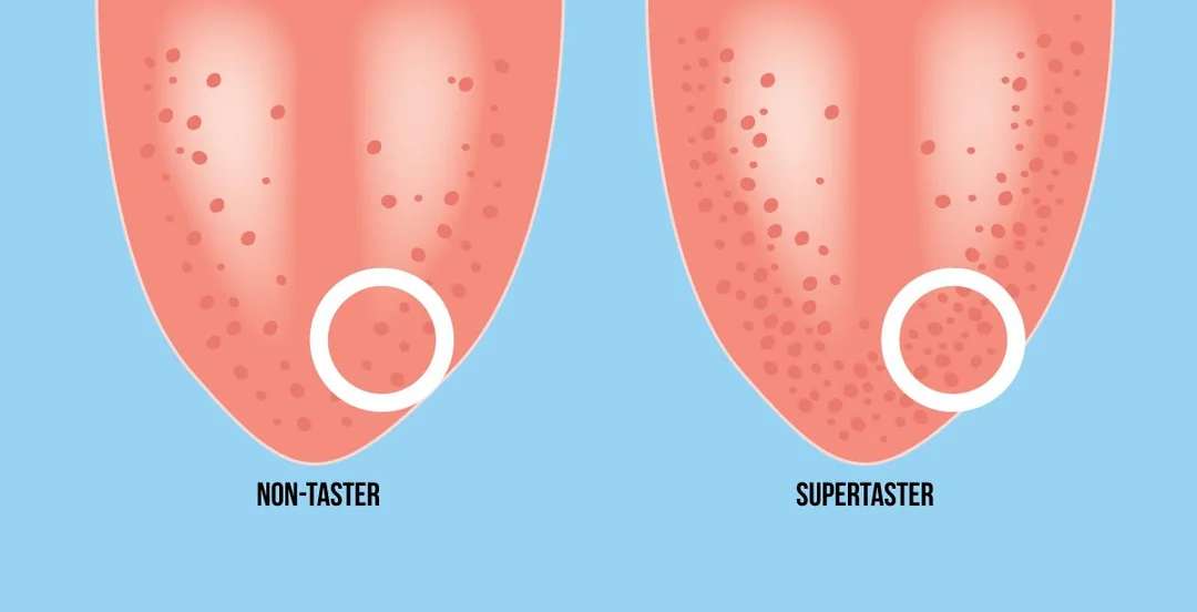 Illustration comparing two tongues: the left labeled "Non-Taster" with fewer taste buds, and the right labeled "Supertaster" with more densely packed taste buds, each area circled for emphasis. Blue background.