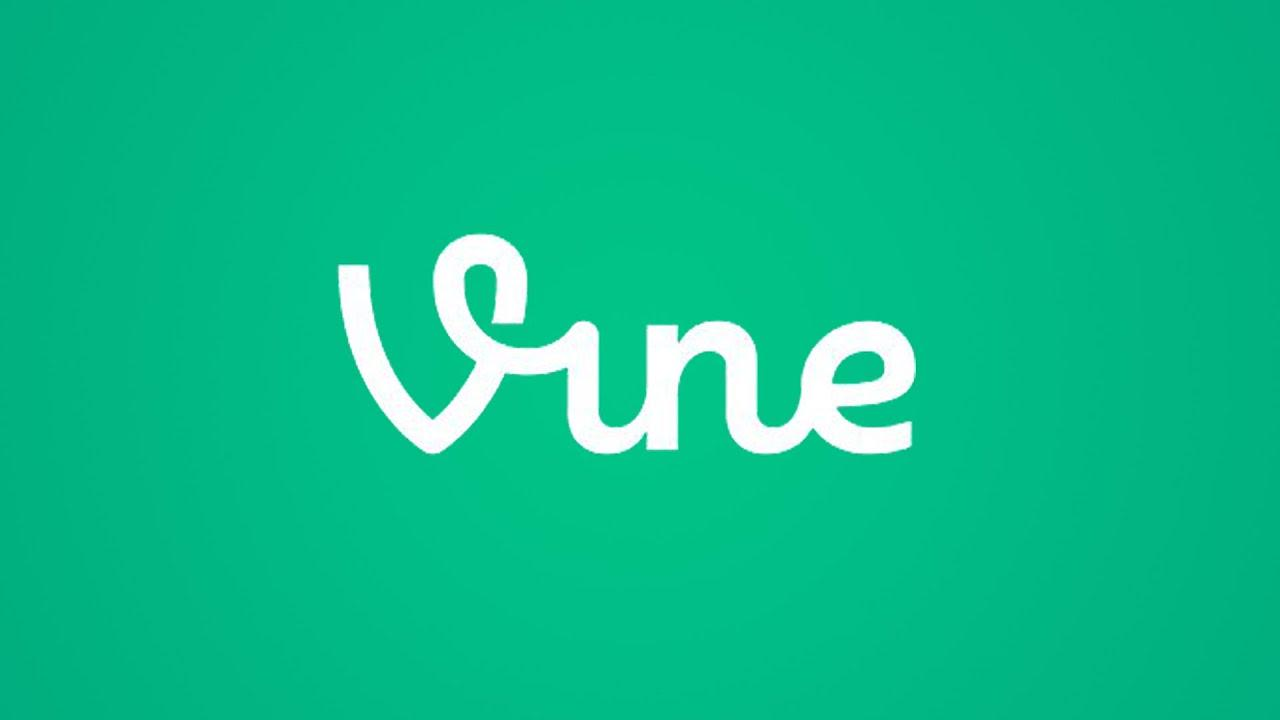 White "Vine" logo in a playful, cursive font centered on a solid teal-green background.