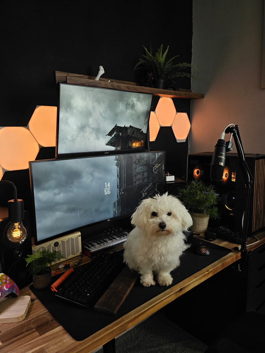 A small white fluffy dog sits on a desk in front of two computer monitors in a modern home office with hexagonal wall lights, plants, and audio equipment.