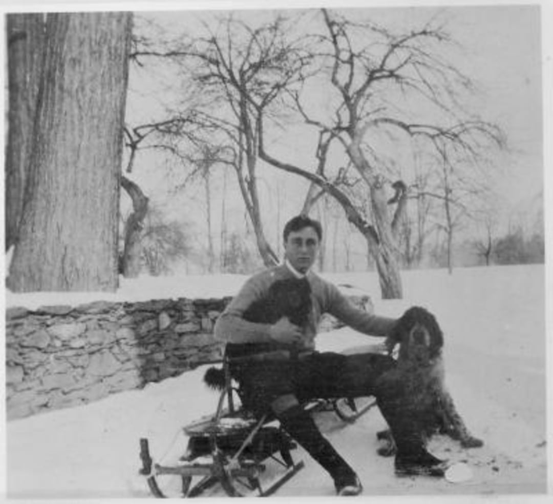 A man sits on a folding chair in a snowy landscape, holding one dog on his lap and another dog beside him. Bare trees and a stone wall are in the background. A small sled is next to the chair.