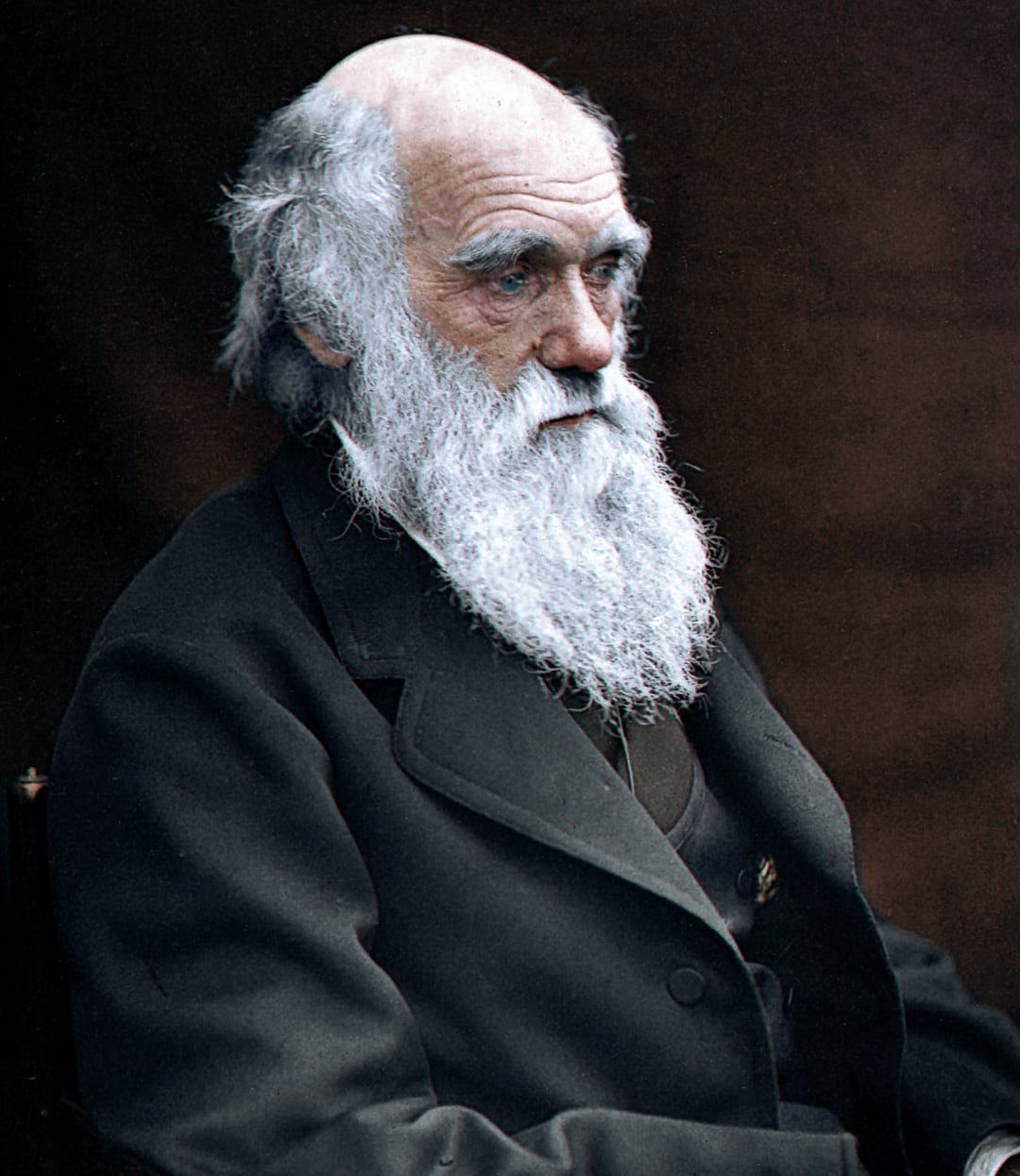 An elderly man with a long white beard and receding hairline sits in a dark suit, looking thoughtfully to the side against a plain, dark background.