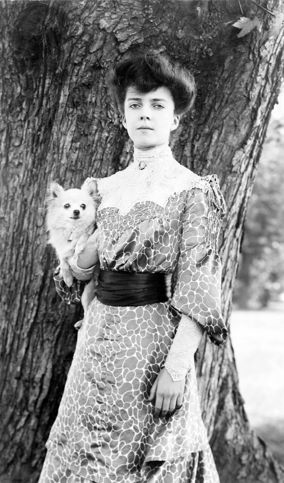 A woman in an ornate, high-necked Victorian dress stands in front of a large tree, holding a small fluffy dog in her left arm. She has an elaborate updo and gazes directly at the camera.