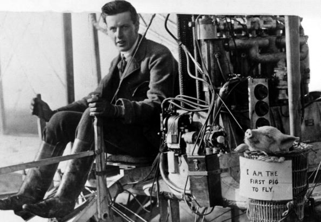A man sits at the controls of an early aircraft. Next to him, a small pig rests in a container labeled "I am the first pig to fly." Various engine parts and wires are visible around them.