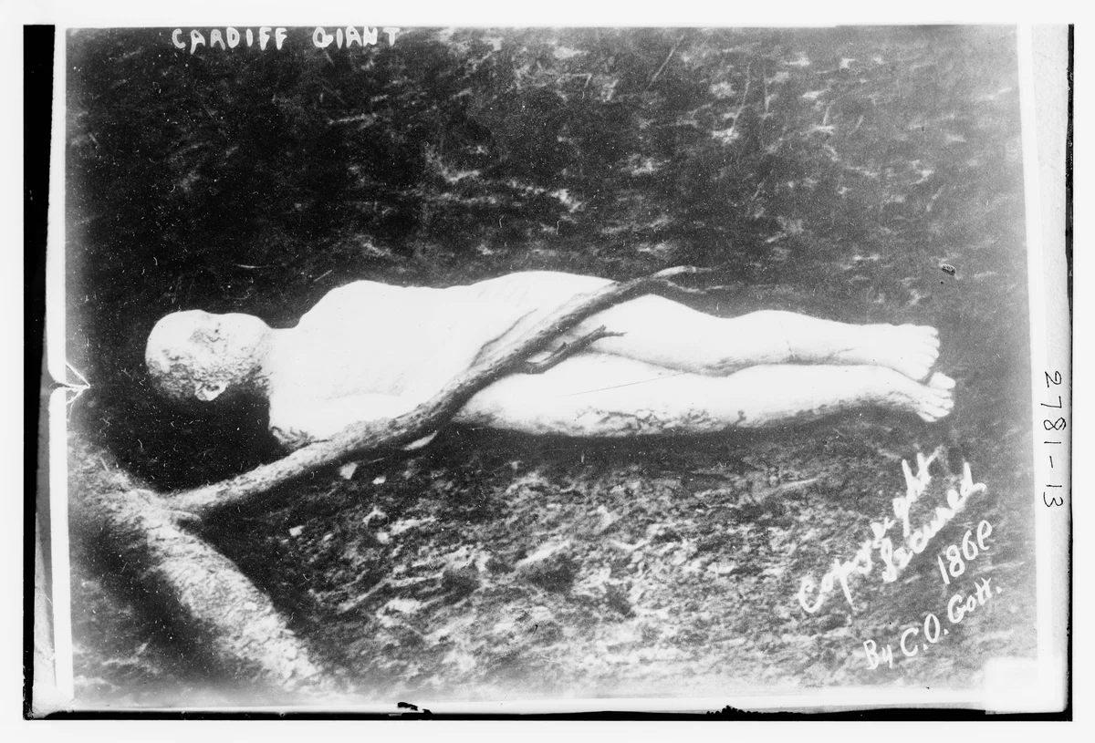 A black and white photo of the Cardiff Giant, a large, human-shaped stone figure lying on the ground, partially covered by a branch. Text on the image reads "Cardiff Giant," with the date 1868 and a signature.