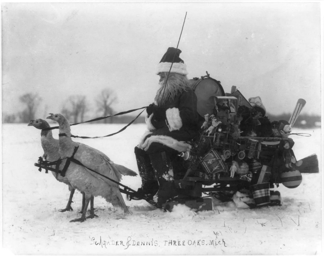 Santa Claus sits in a sleigh filled with toys, being pulled by two large turkeys across a snowy field. Leafless trees are visible in the background. The scene appears old-fashioned and whimsical.