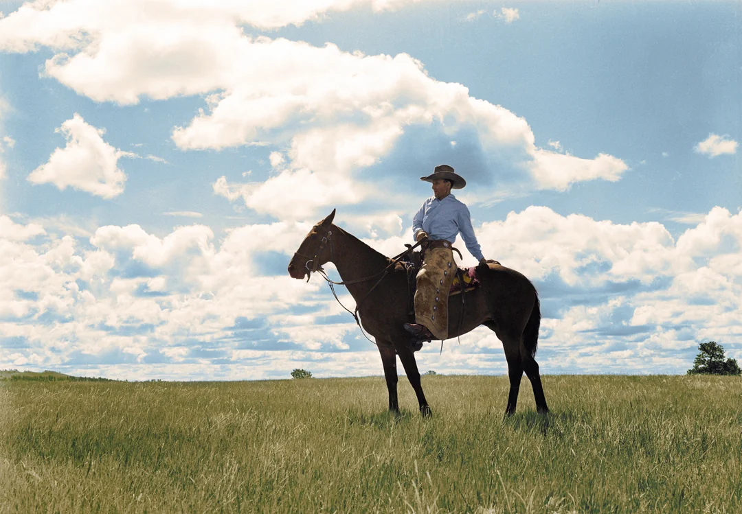A person wearing a cowboy hat and chaps sits on a dark brown horse in a grassy field under a blue sky with scattered clouds.