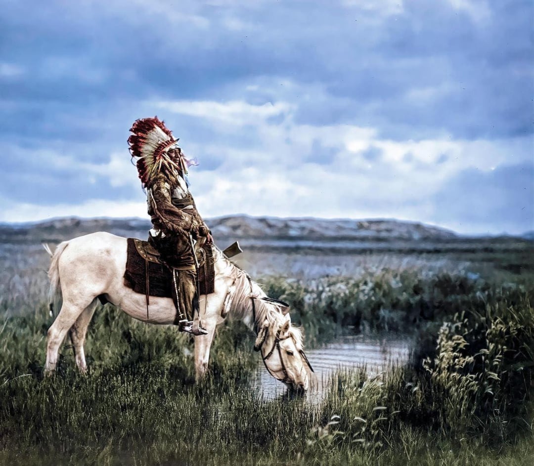 A person wearing a feathered headdress sits on a white horse near water, while the horse drinks. The landscape is grassy with distant hills under a cloudy sky.