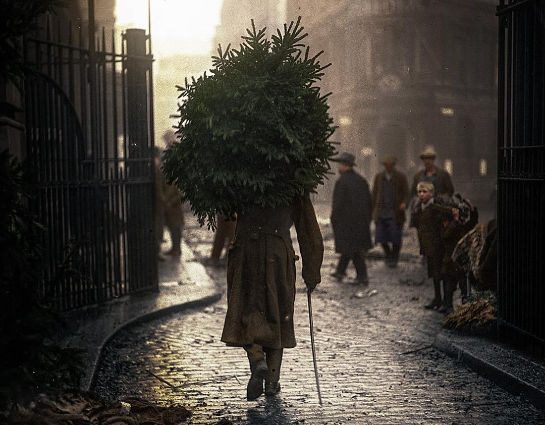 A person wearing a long coat carries a large evergreen tree on their back while walking down a cobblestone street; several people and buildings are visible in the background on a foggy day.