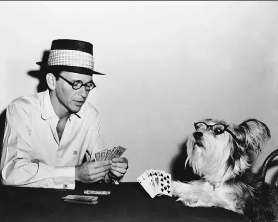 A man wearing glasses and a hat sits at a table playing cards with a dog. The dog is also wearing glasses and has cards in its paw, looking intently at the man.