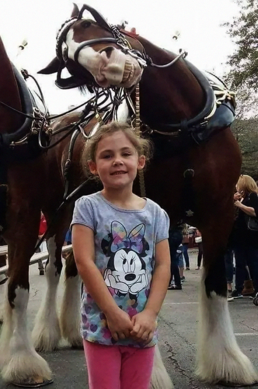 A young girl wearing a Minnie Mouse shirt stands smiling in front of two large horses in harness; one horse bends its head down playfully toward her. People and trees are visible in the background.