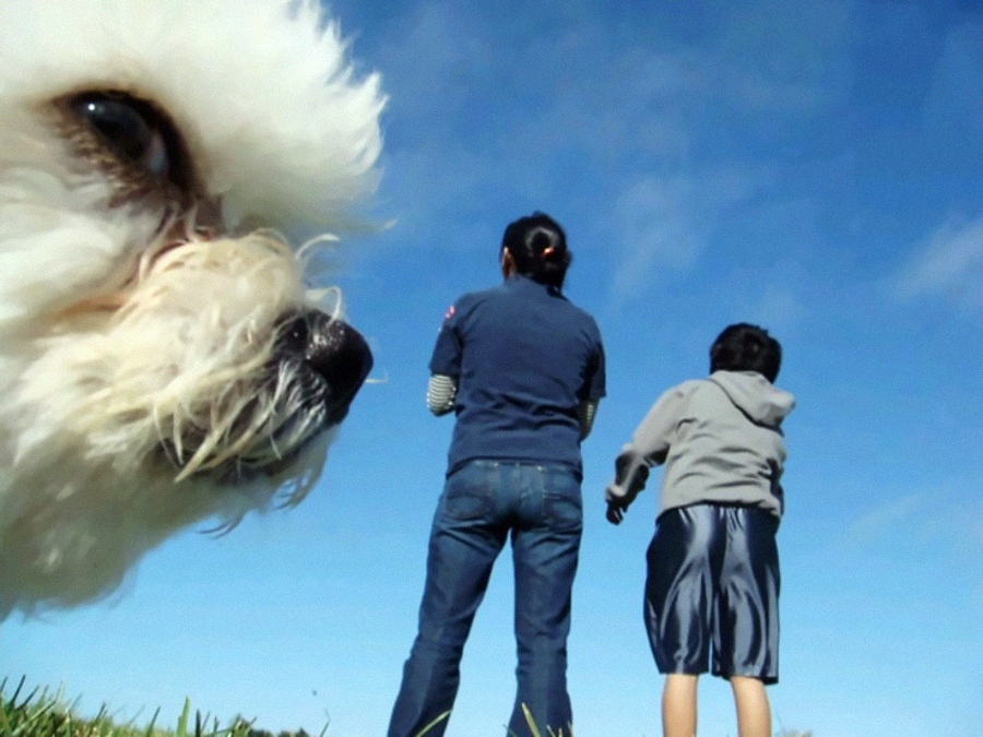 A close-up of a fluffy white dog’s face dominates the left side of the image, with two people standing on grass facing away under a blue sky on the right side.