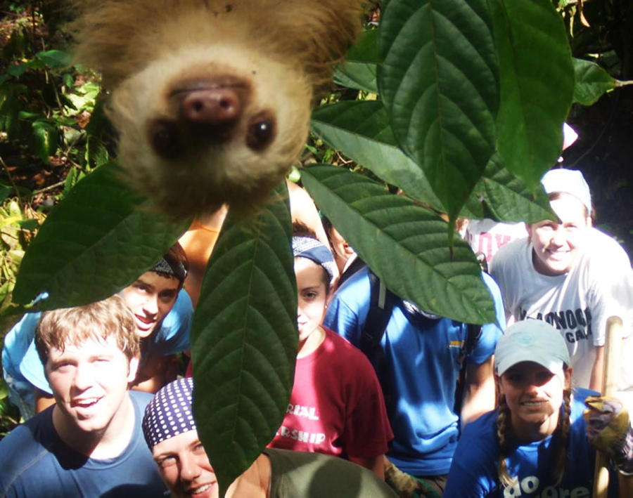 A group of smiling people outdoors looks up at the camera, partly obscured by large green leaves, with a sloth hanging upside down in the foreground, its face close to the lens.