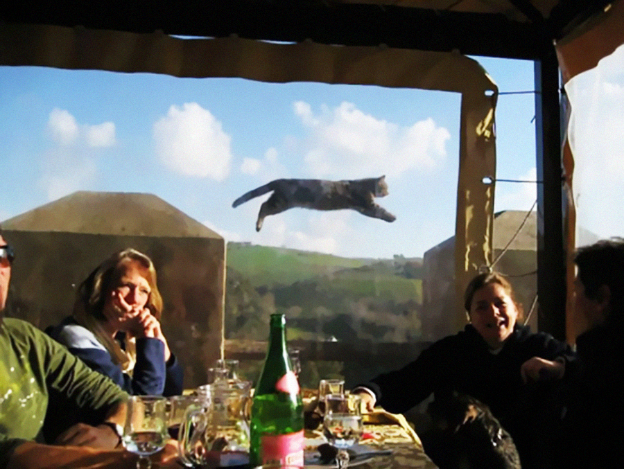 A cat leaps mid-air outside a tent-like structure while four people sit at a table with drinks, smiling and laughing. The background shows green hills and a partly cloudy sky.