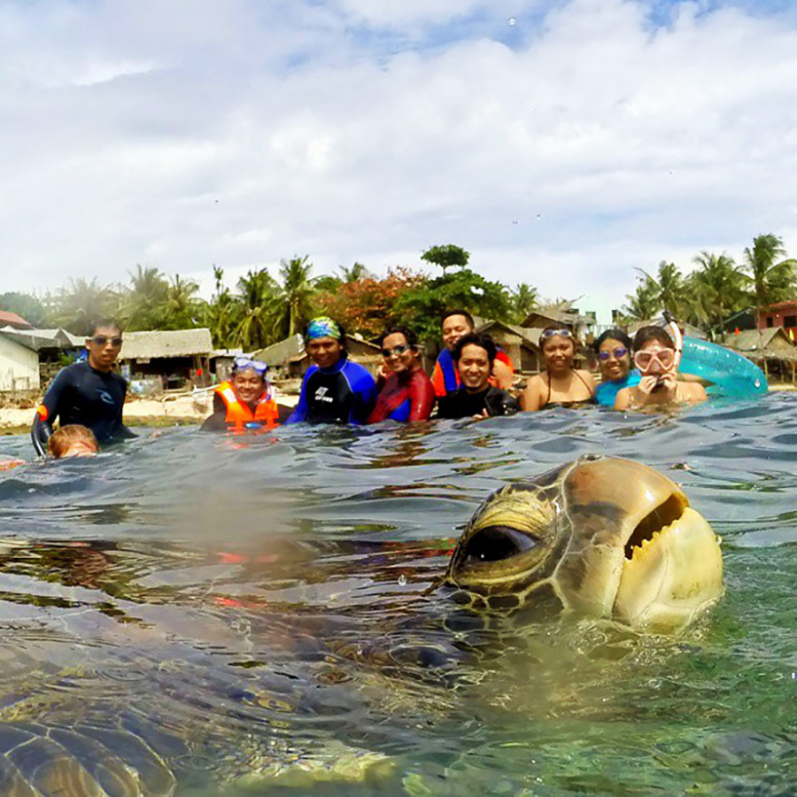 A group of people in life jackets and snorkel gear smile in shallow water near the shore, while a sea turtle's head emerges from the water in the foreground. Palm trees and buildings are visible in the background.