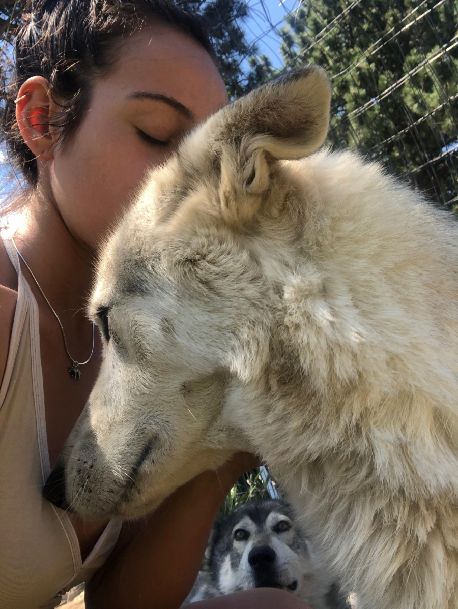 A woman gently presses her face against the head of a large, light-colored dog outdoors. Another similar-looking dog is visible in the background, looking towards the camera. Trees and a fence are in the background.
