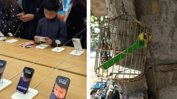 photos-something-slightly-off