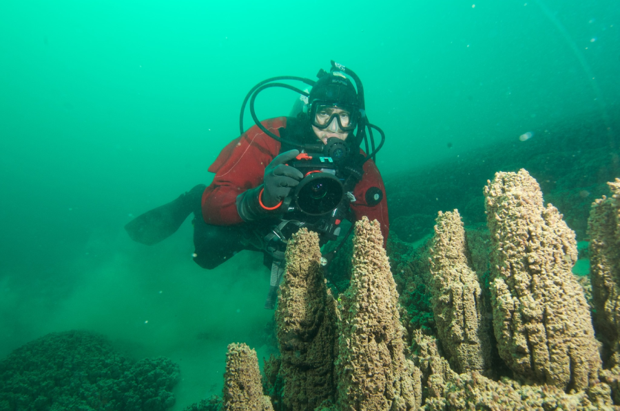 A scuba diver in a red suit and black mask holds a camera underwater, photographing tall, clustered coral structures in a green-tinted ocean scene.