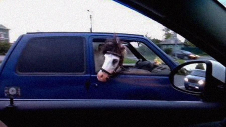 A horse with its head sticking out of the driver's side window of a blue car, seen from the window of another vehicle on a road.