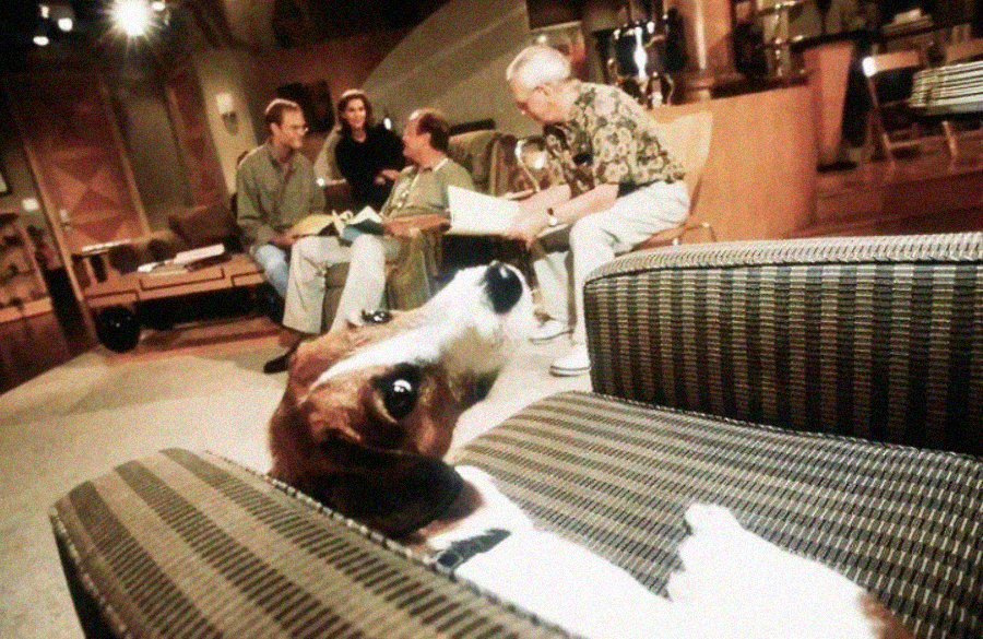 A dog lies on a striped chair in the foreground, looking toward the camera, while four people sit and talk in a warmly lit living room in the background.