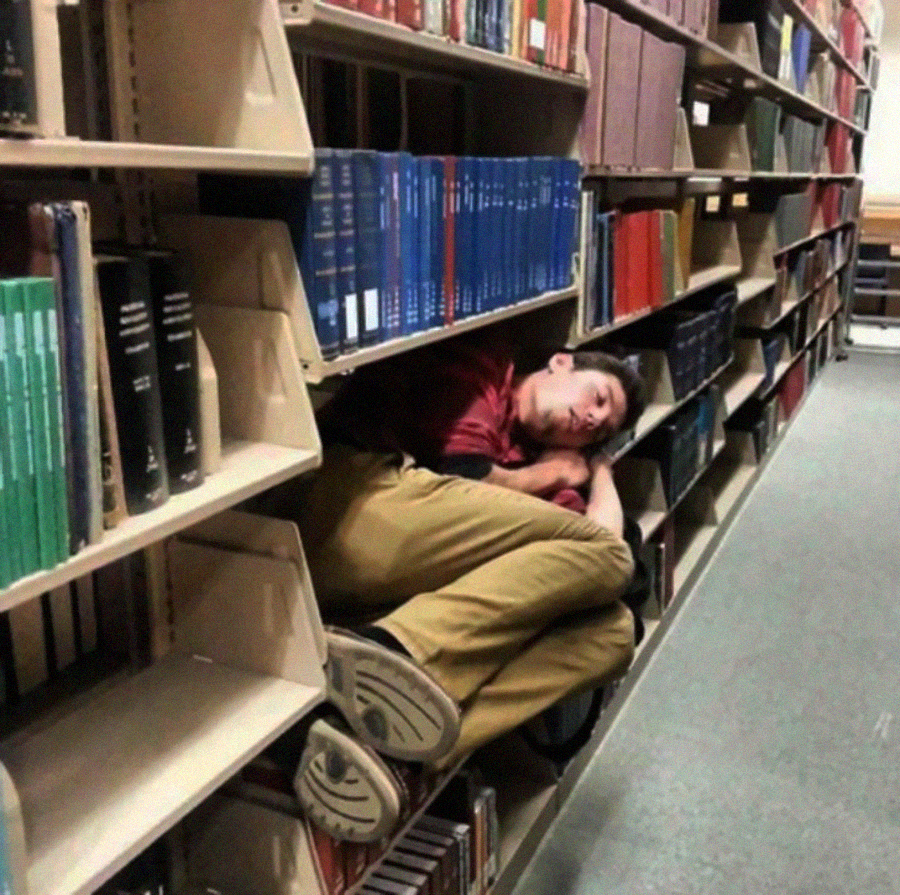 A person is curled up and sleeping on a shelf between rows of books in a library.