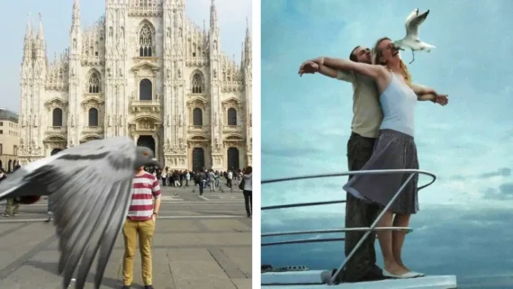 animals-photobombing-tourists