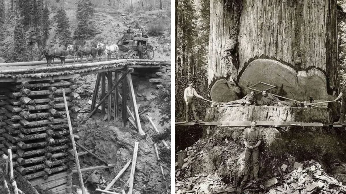 35 Vintage Photos That Capture the Late 1880s 35 Vintage Photos That Capture the Late 1880s