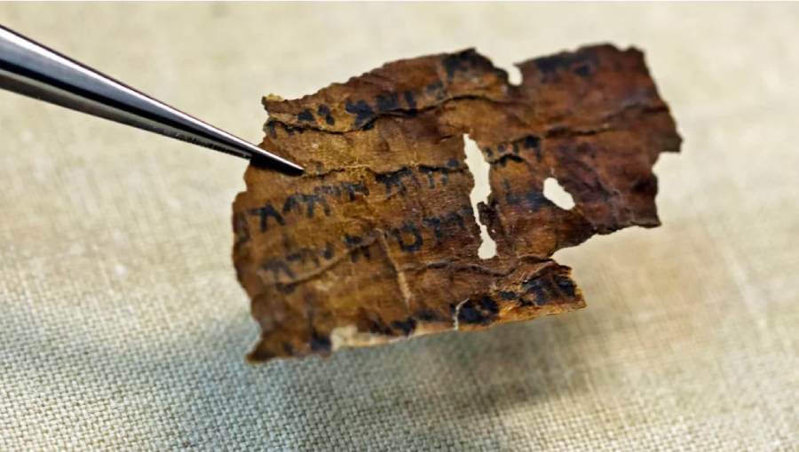 A close-up of tweezers holding an ancient, torn manuscript fragment with faded Hebrew script, placed on a beige fabric background.