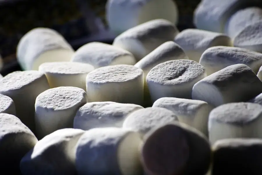 A close-up view of several white marshmallows, showing their soft, fluffy texture and cylindrical shapes arranged closely together.