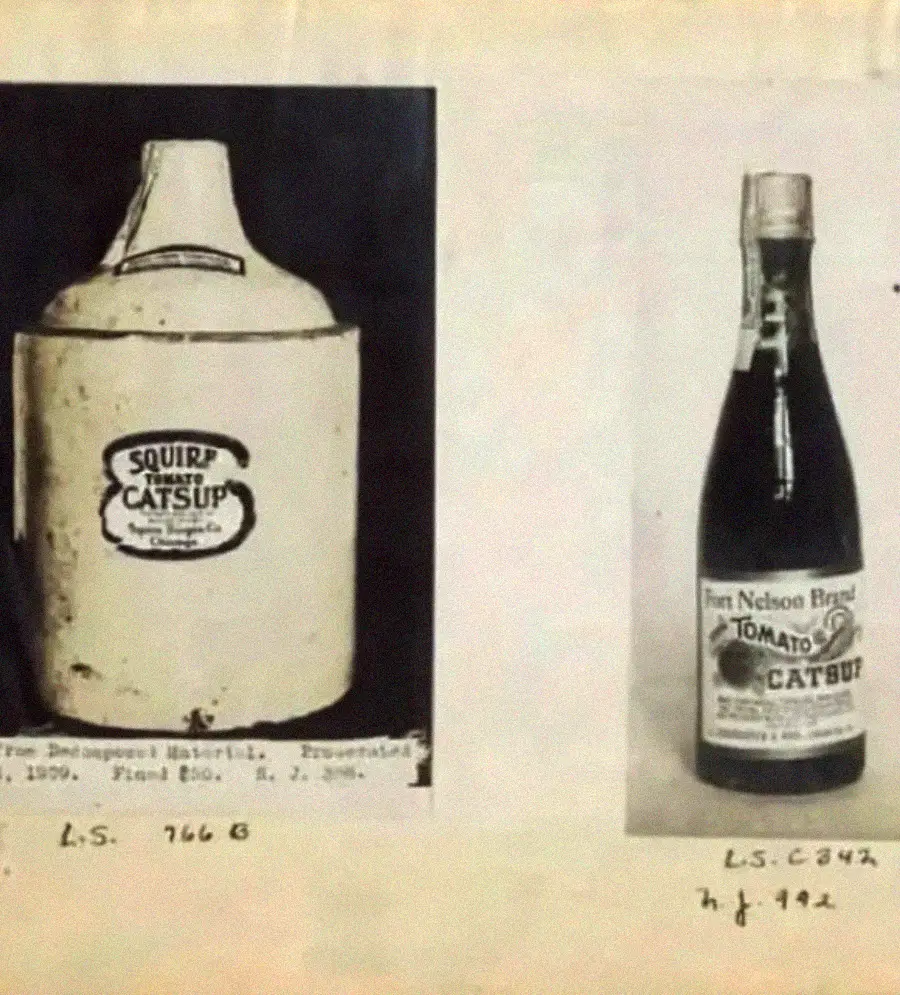 Two vintage bottles of catsup are displayed side by side. The left bottle is a jug labeled "Squire Catsup," and the right is a glass bottle labeled "Fort Nelson Brand Tomato Catsup." Both have old-fashioned labels.