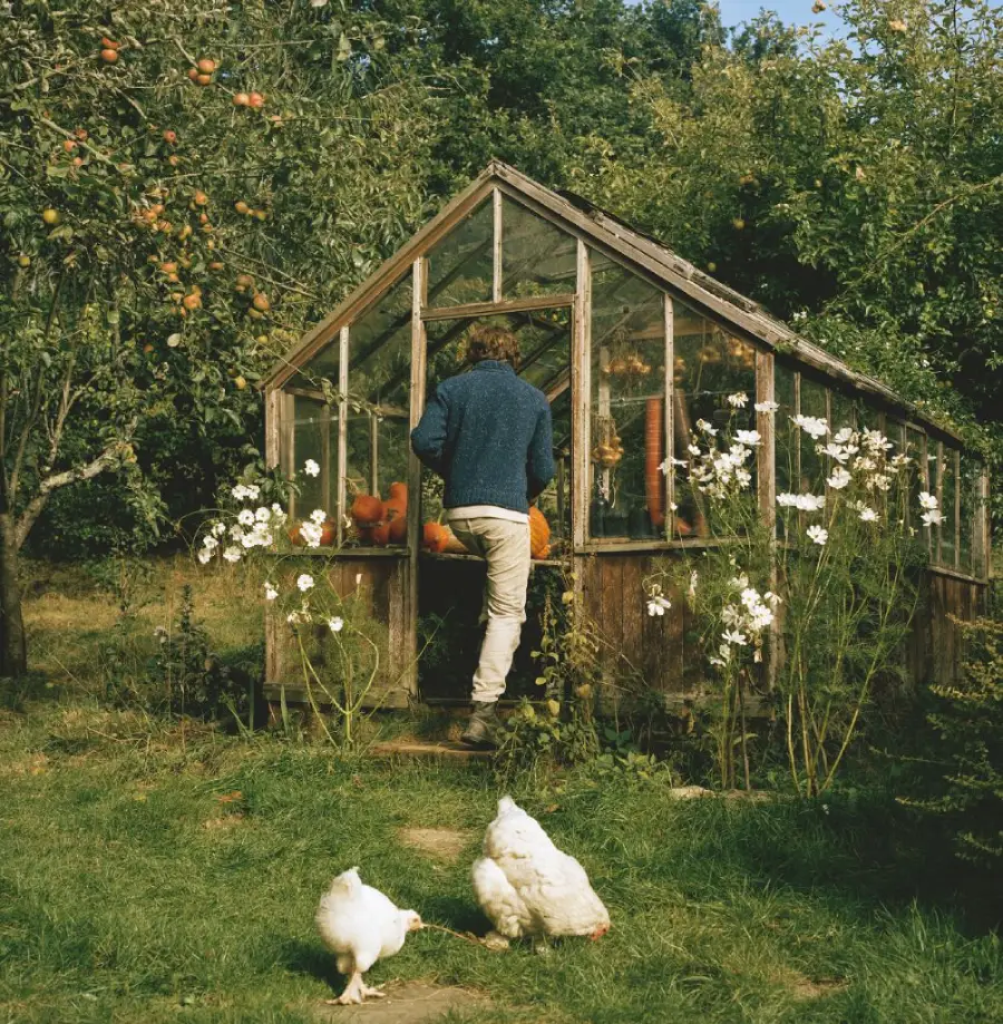 A person stands inside a rustic greenhouse surrounded by tall white flowers in a garden. Two white chickens roam the grassy area outside, and an apple tree is visible to the left.