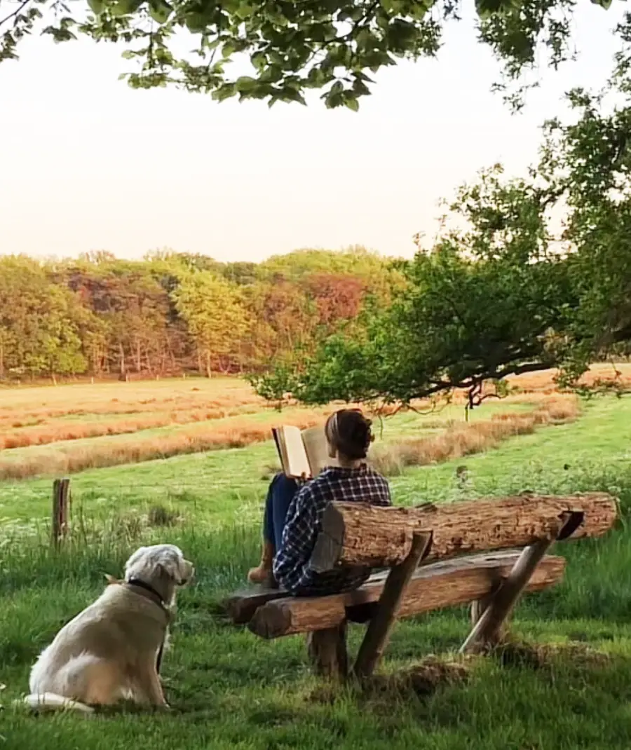 A person sits on a rustic wooden bench reading a book in a grassy field, with a dog lying nearby. Trees and rolling fields stretch out in the background under a clear sky.